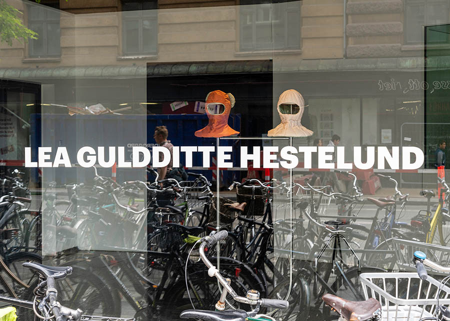 http://www.leagulddittehestelund.dk/files/gimgs/th-123_web17_DSC2199_5X7.jpg